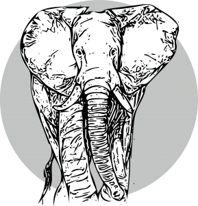Elephant Cirlce